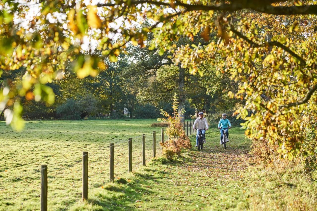 Hotel Whitemead Forest Park Lydney Esterno foto